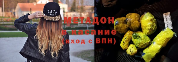 гашик Алексин