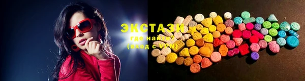 гашик Алексин