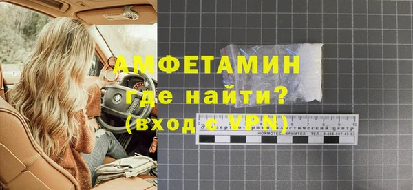 гашик Алексин