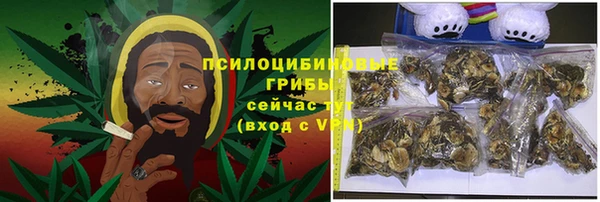 гашик Алексин