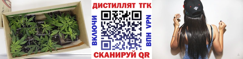 ТГК гашишное масло  как найти закладки  Билибино 
