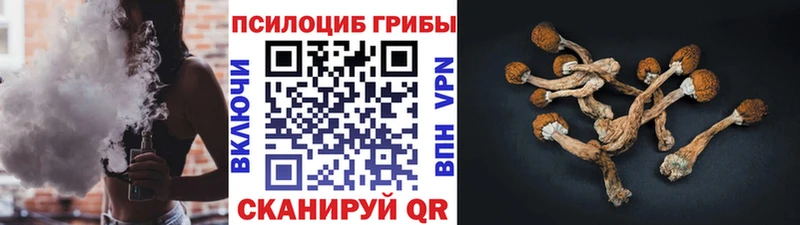 Галлюциногенные грибы Cubensis  продажа наркотиков  Билибино 